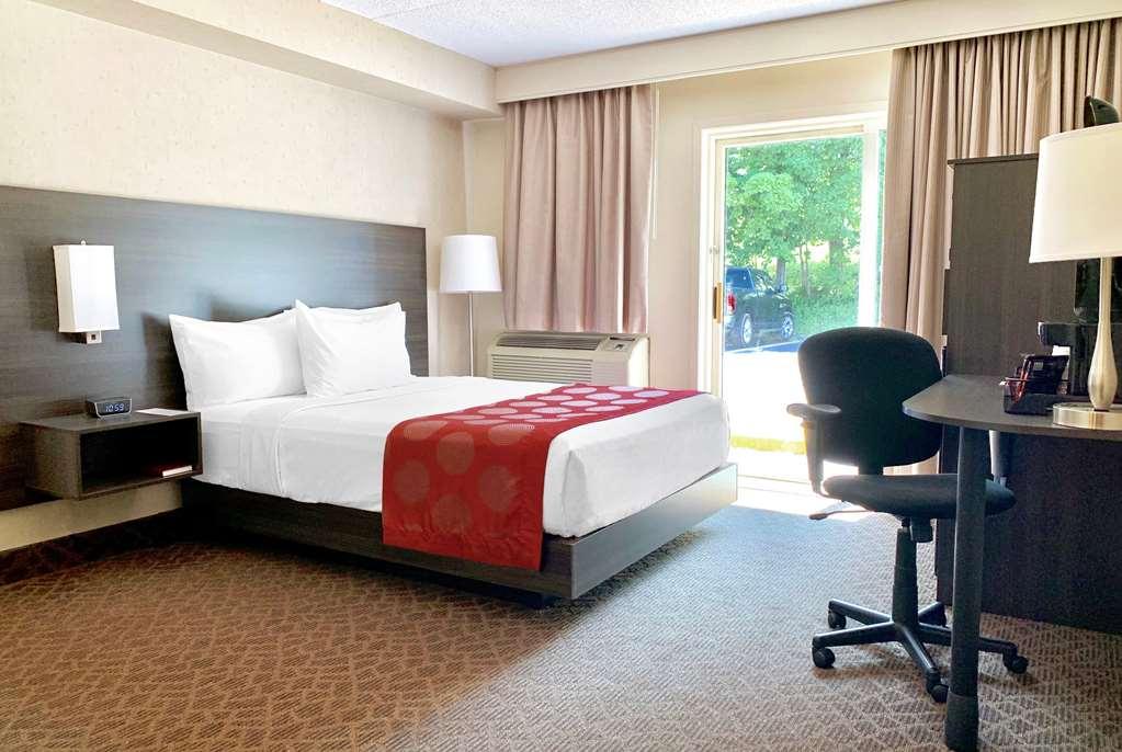 Quality Inn & Conference Centre Kingston Central Værelse billede